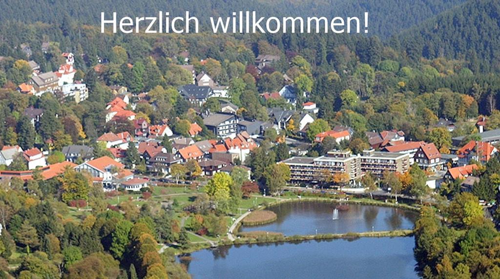 Premium-Ferienwohnungen Bergblick Im Haus Hopfe Goslar Exterior photo
